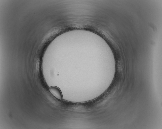 X0000113290685200910131026