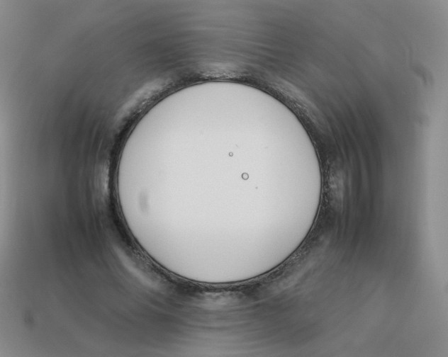 X0000113290686200910131026