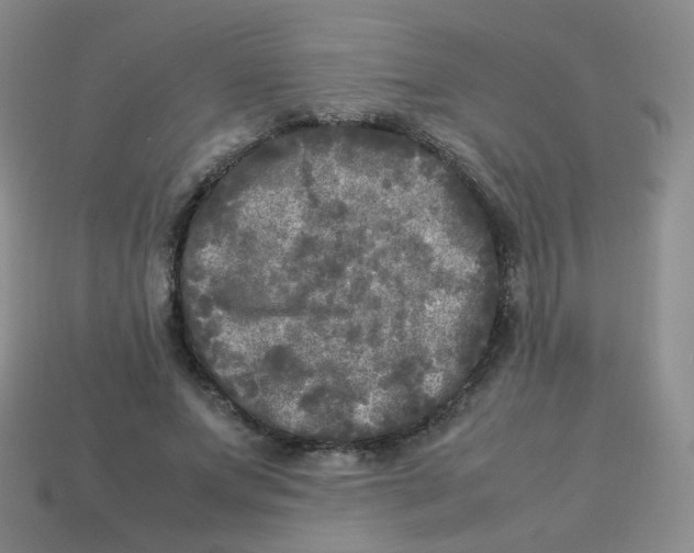 X0000113290687200910131026