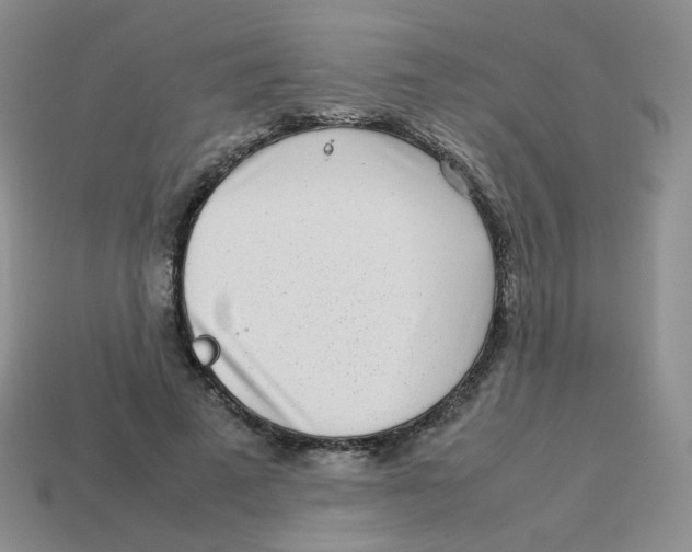 X0000113290689200910131026