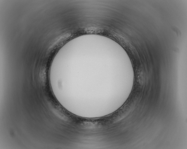 X0000113290690200910131026