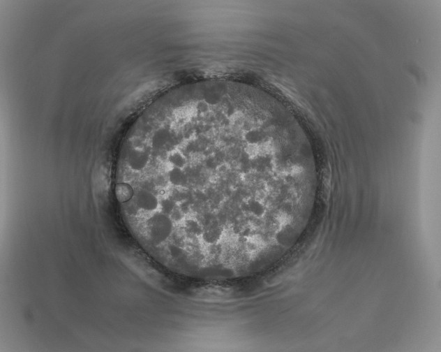 X0000113290691200910131026