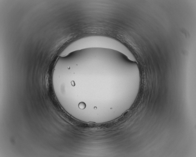 X0000113290692200910131026