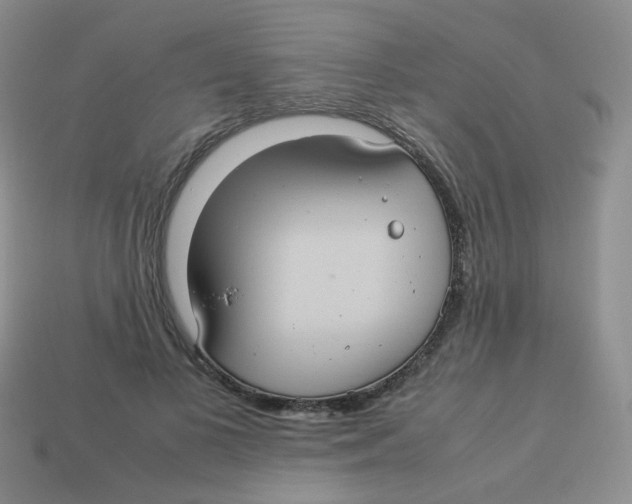X0000113290693200910131026