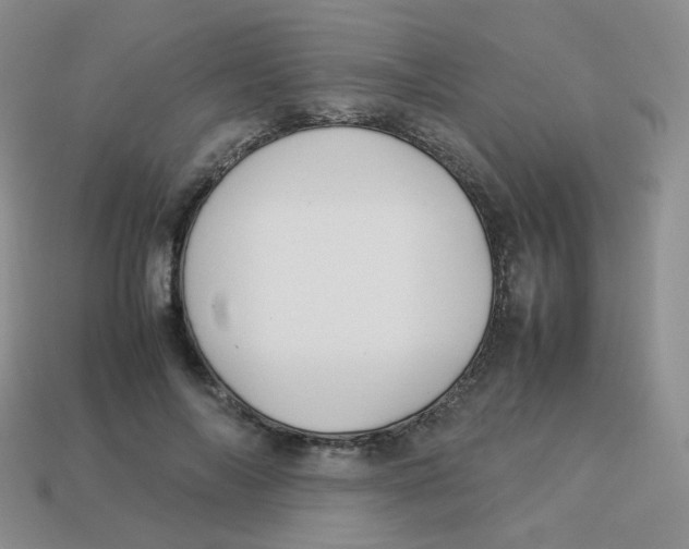 X0000113290694200910131026