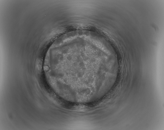 X0000113290695200910131026