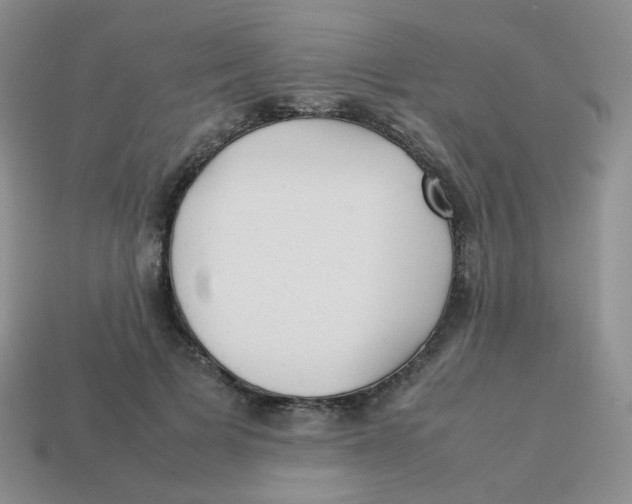 X0000113290697200910131026