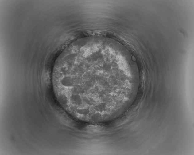 X0000113290699200910131026
