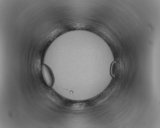 X0000113290700200910131026