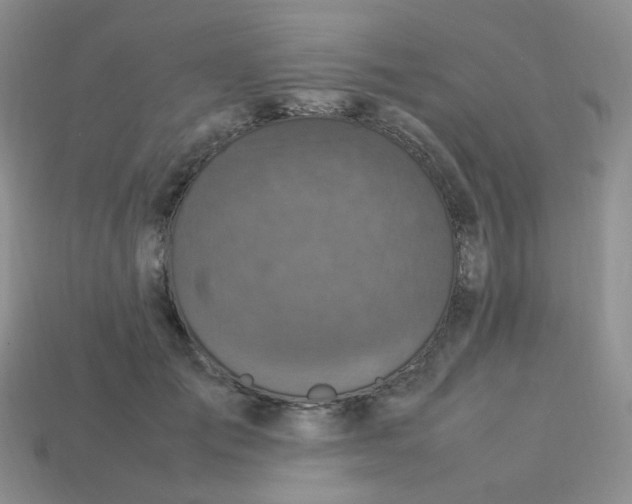 X0000113290701200910131026