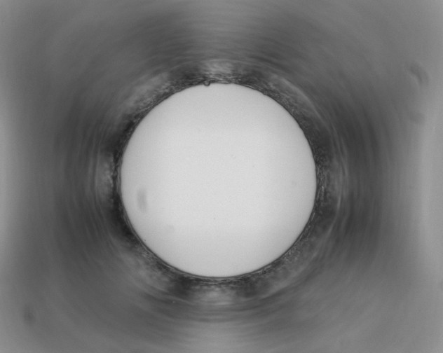 X0000113290702200910131026