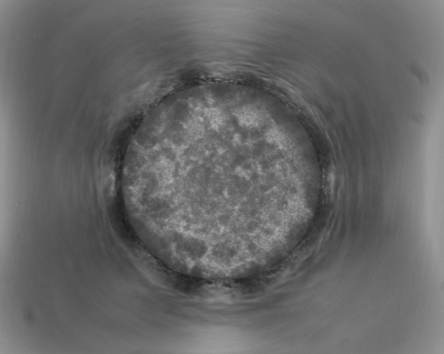 X0000113290703200910131026