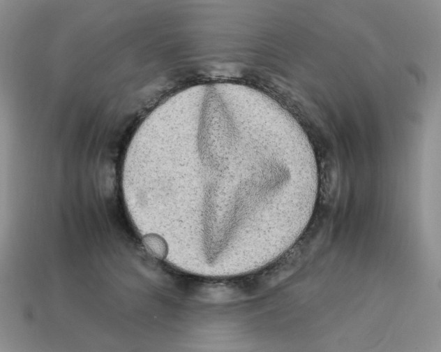 X0000113290704200910131026