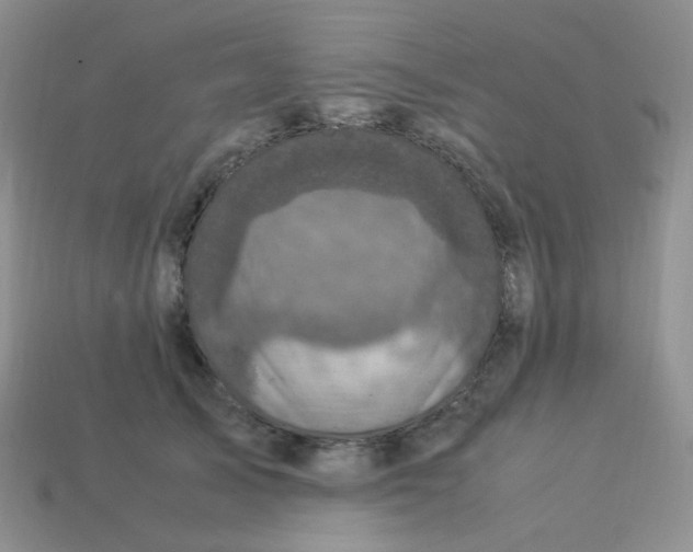 X0000113290705200910131026