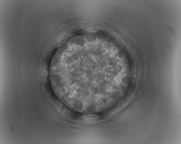 X0000113290707200910131026