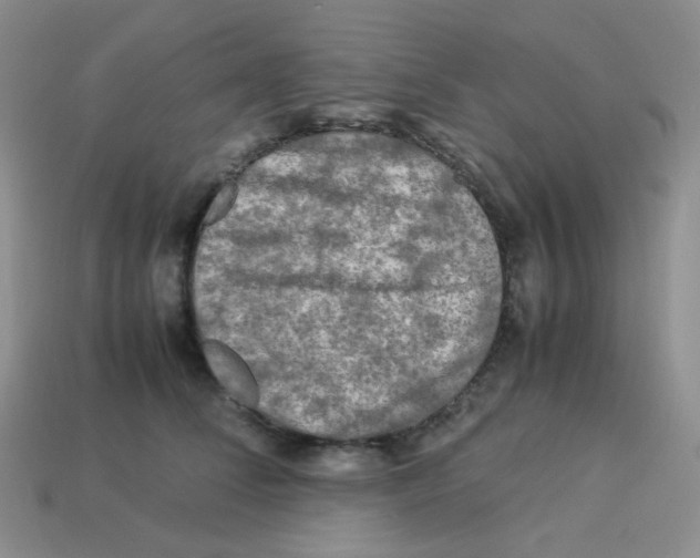 X0000113290708200910131026