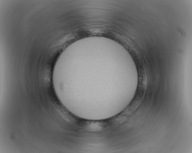 X0000113290710200910131026