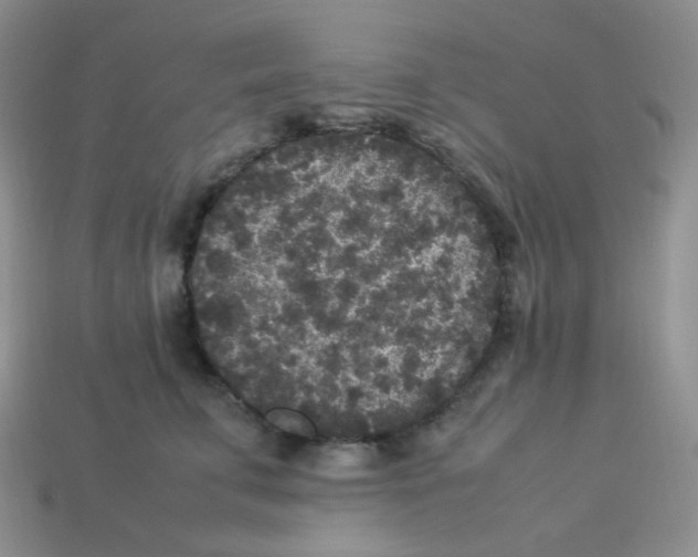 X0000113290711200910131026