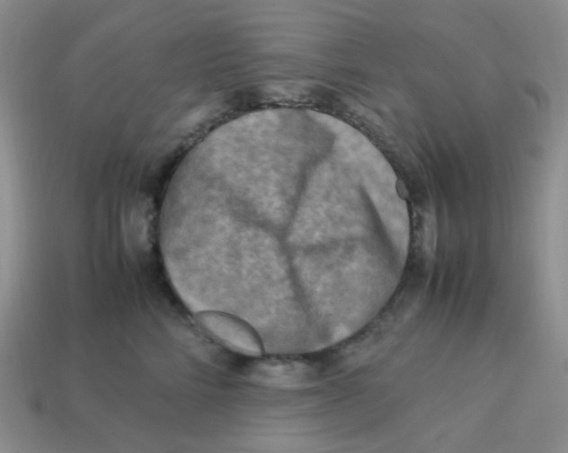 X0000113290712200910131026