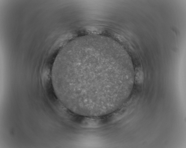 X0000113290713200910131026