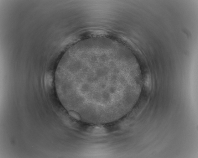 X0000113290715200910131026