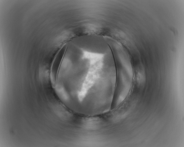 X0000113290716200910131026