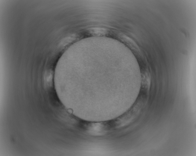 X0000113290717200910131026