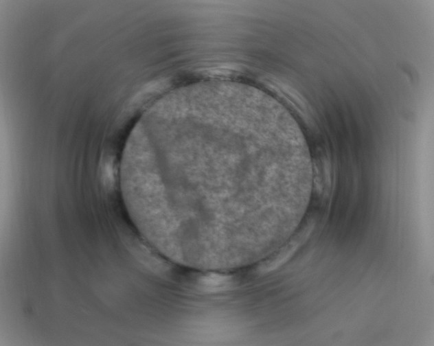 X0000113290718200910131026
