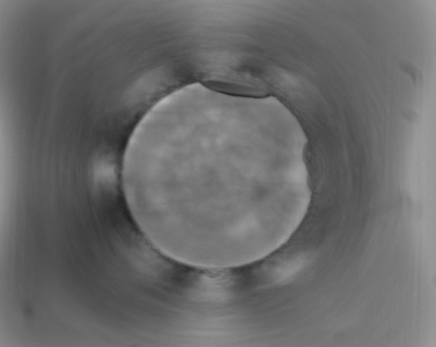 X0000113290720200910131026
