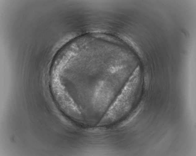 X0000113290721200910131025