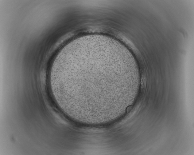 X0000113290722200910131025