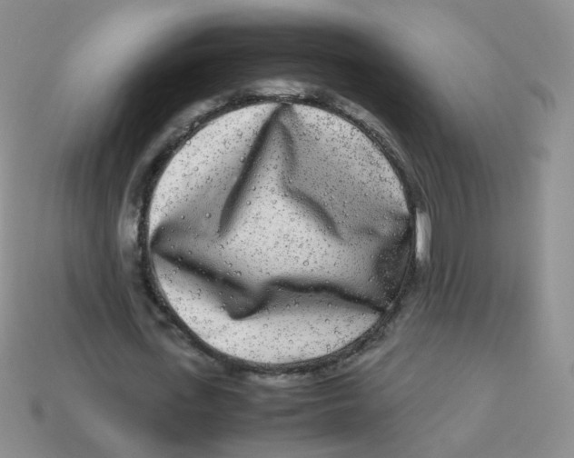 X0000113290723200910131025