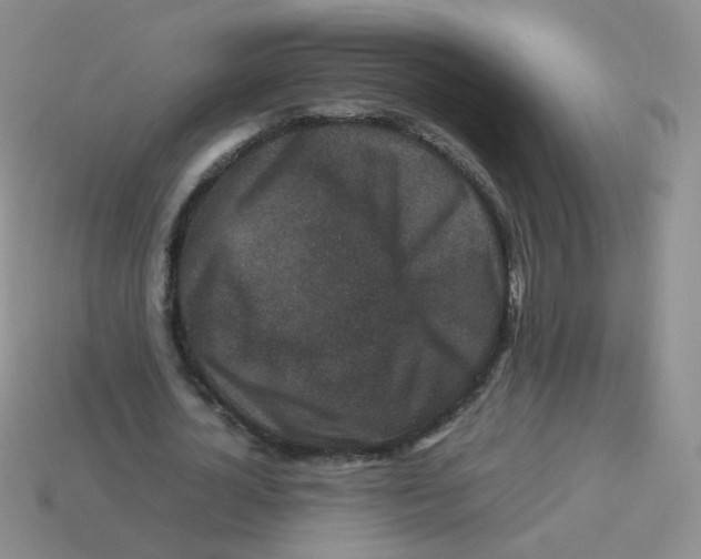X0000113290724200910131025
