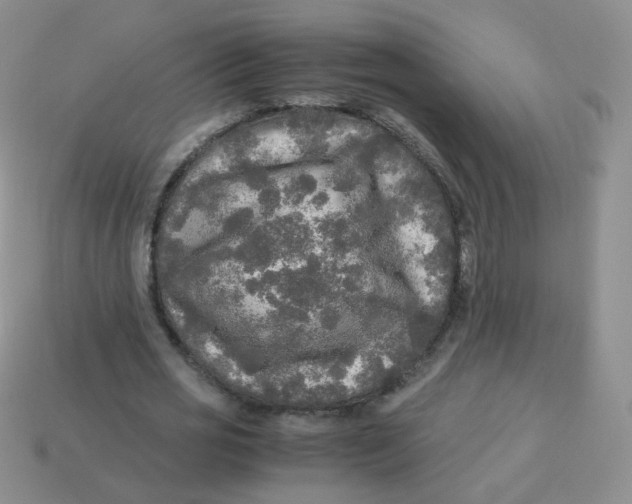 X0000113290725200910131025