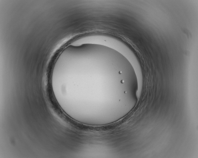 X0000113290726200910131025