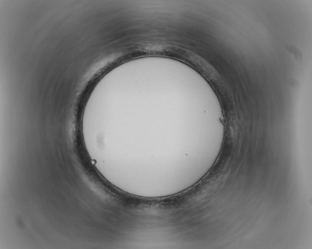 X0000113290728200910131025