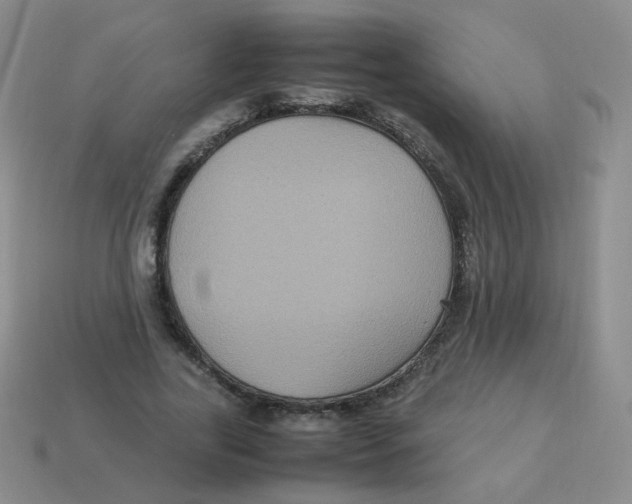 X0000113290731200910131025