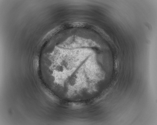 X0000113290733200910131025
