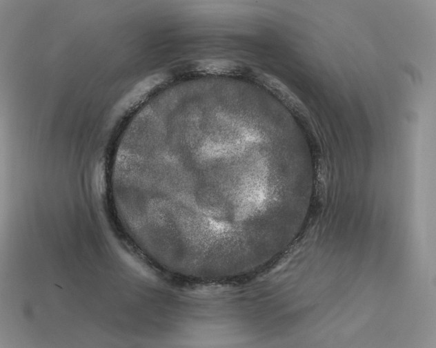 X0000113290734200910131025
