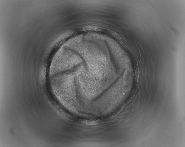 X0000113290735200910131025