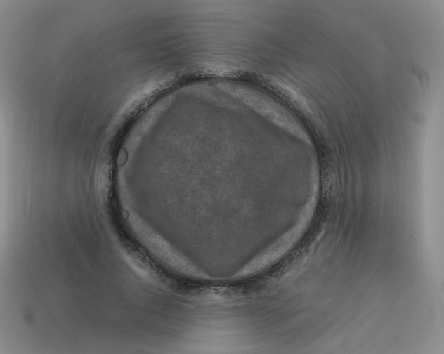 X0000113290736200910131025