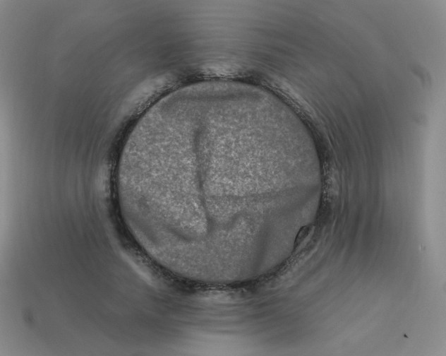 X0000113290738200910131026