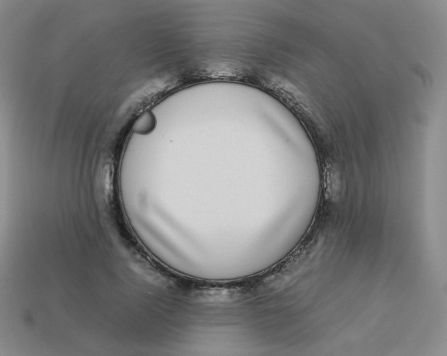 X0000113290740200910131026