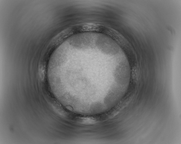 X0000113290741200910131026