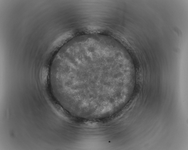 X0000113290742200910131026