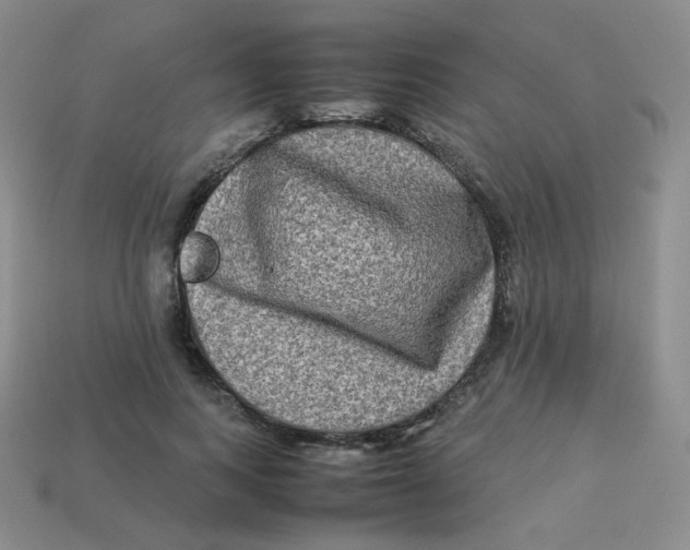 X0000113290743200910131026