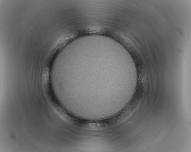 X0000113290744200910131026