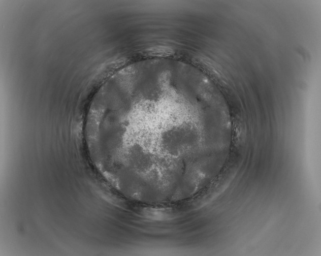 X0000113290745200910131026