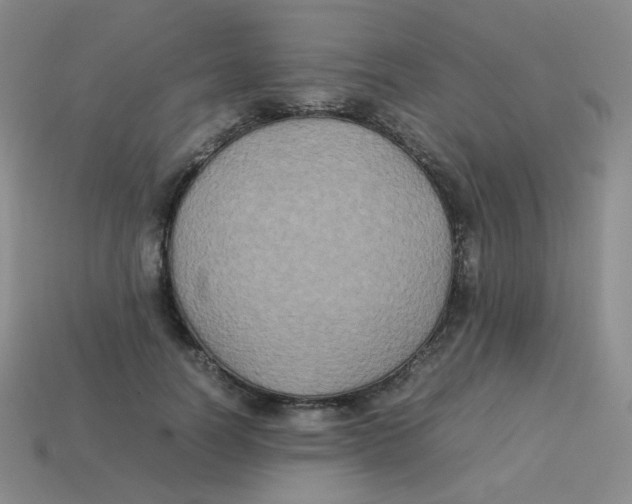 X0000113290746200910131026