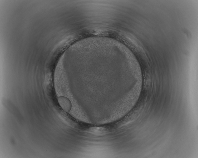 X0000113290748200910131026